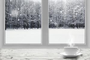 Overview of winter forest through a glass window. Exterior cold weather caulk needs the right sealant
