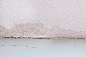 water damage on the floor of a home without waterproofing