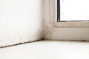 Crack between the sill window. Caulking interior windows is a cost-effective and quick task