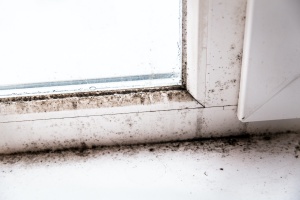 mold growing on a door or someone learning how to prevent mold growth