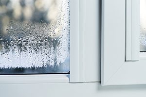 Windows exposed to elements that needs Window glazing