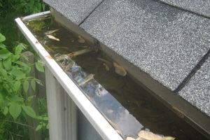 clogged gutters before pressure washing services